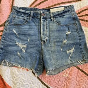 Treasure & Bond Light Blue Ripped Jean Shorts